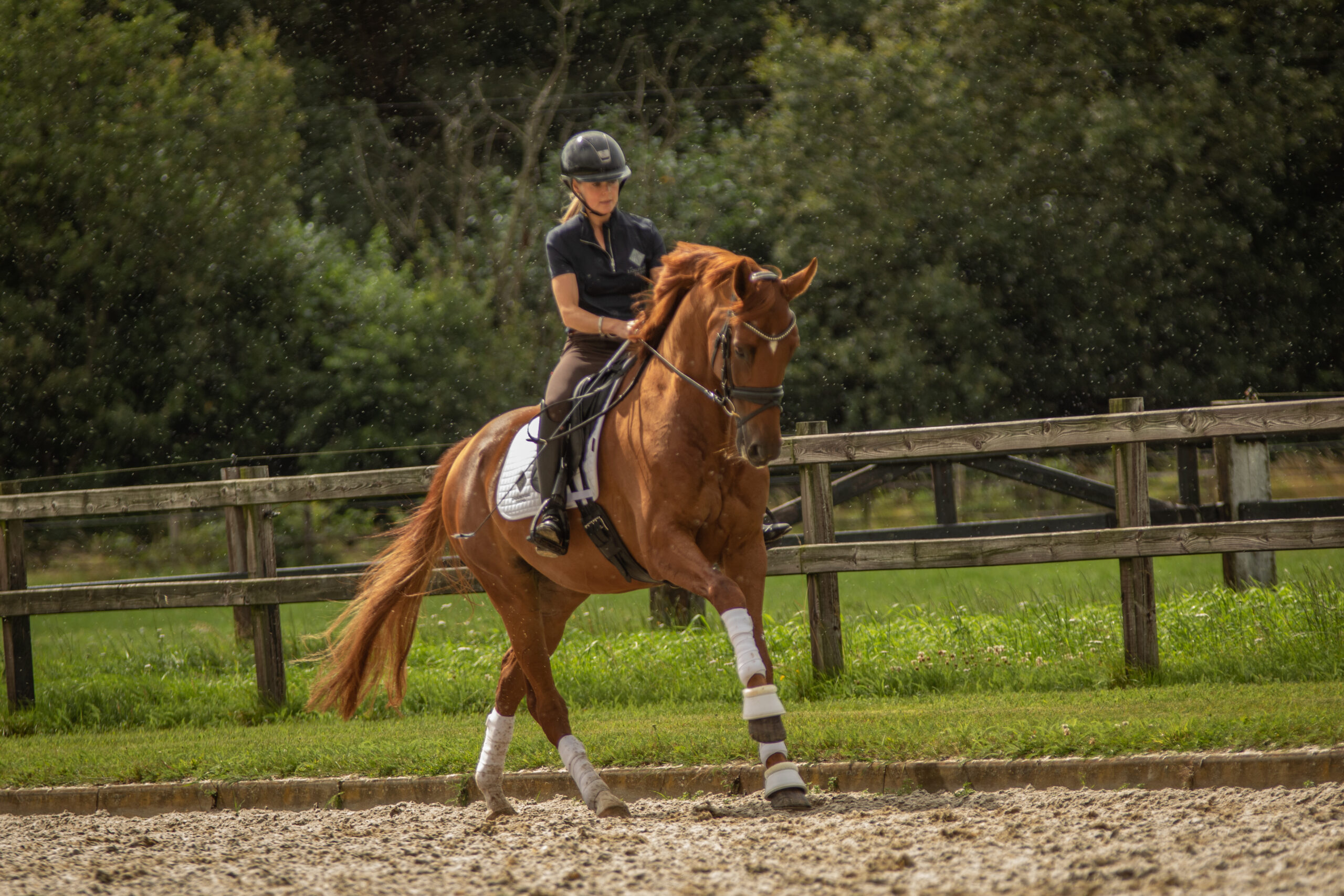 Paard rijden